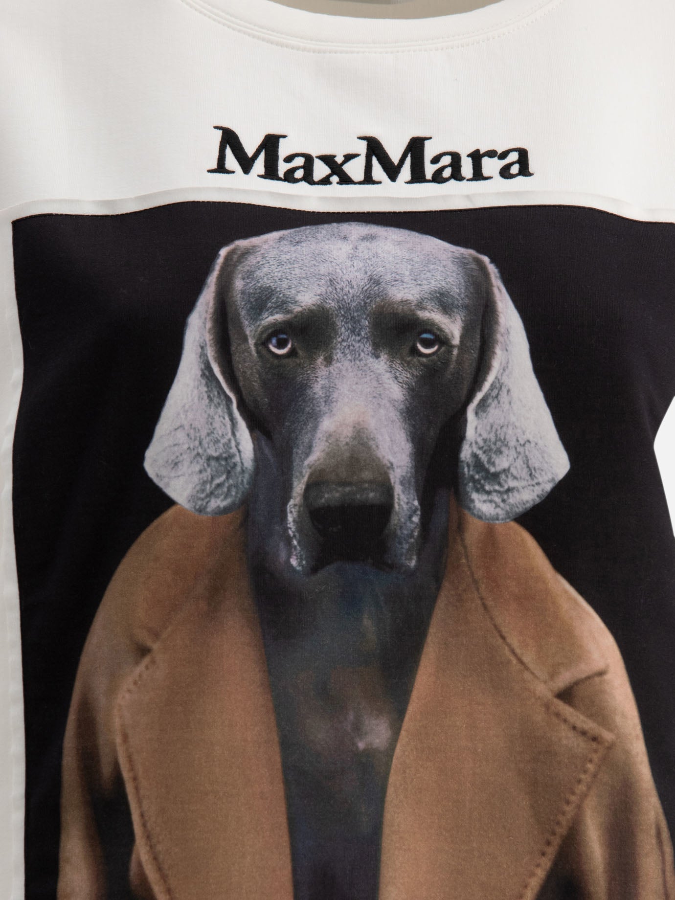 Max Mara Felpa con stampa Wegman 14498621_XS White 3