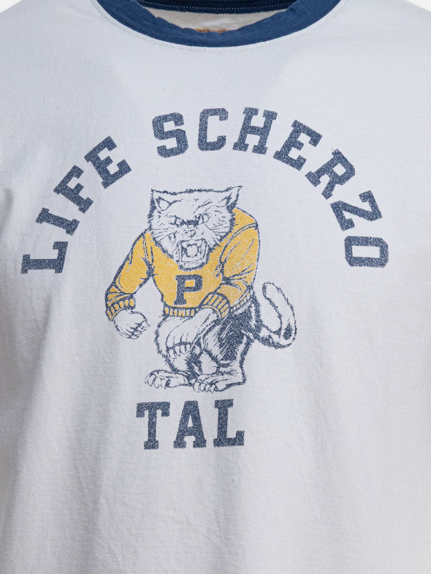 KAPITAL "College CAT PITAL" T-shirt Grey