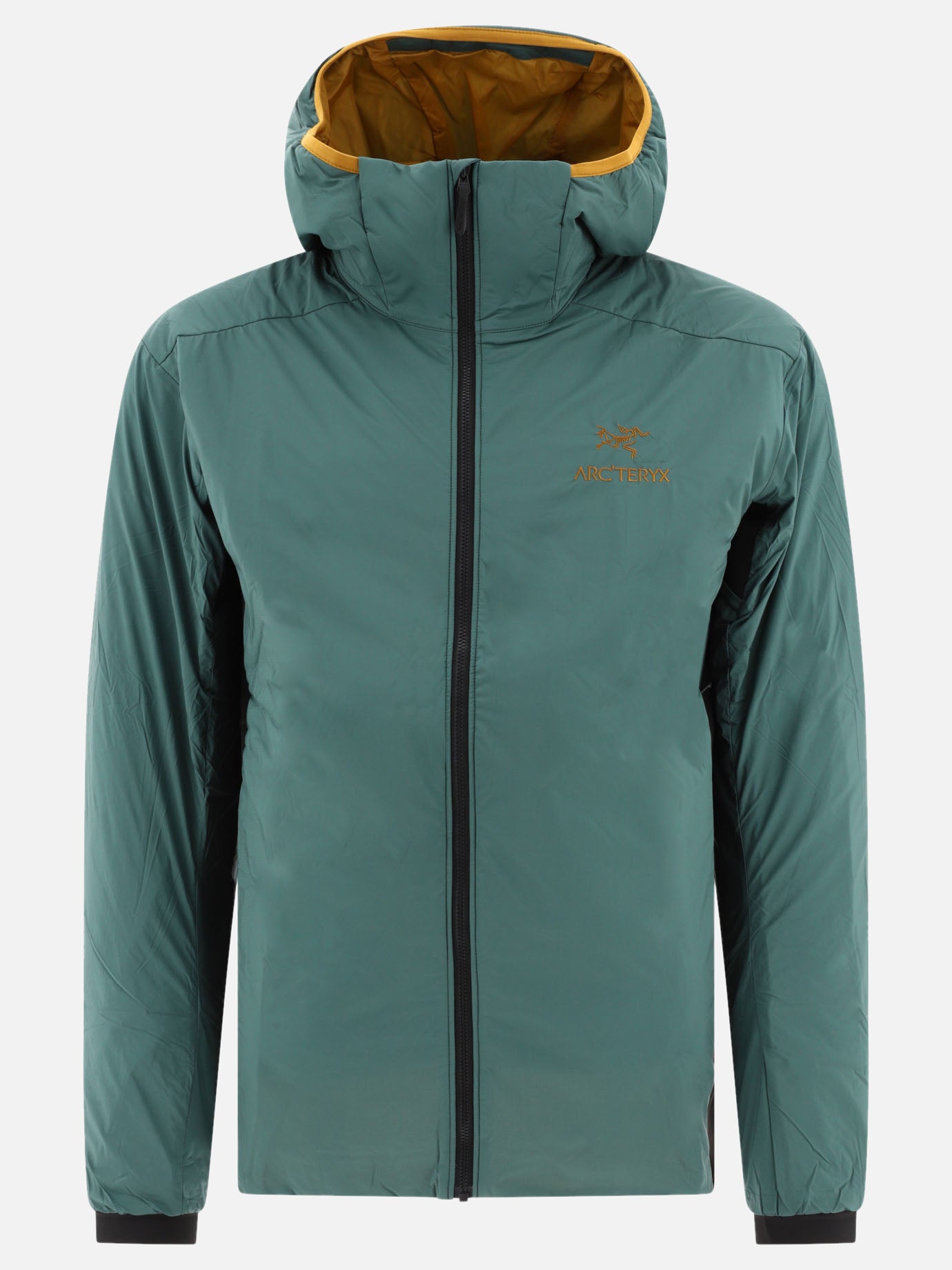 Technical jackets Logo  Green - Arc'teryx Men | PDP | VIETTI Online Store | Zoom-Modal
