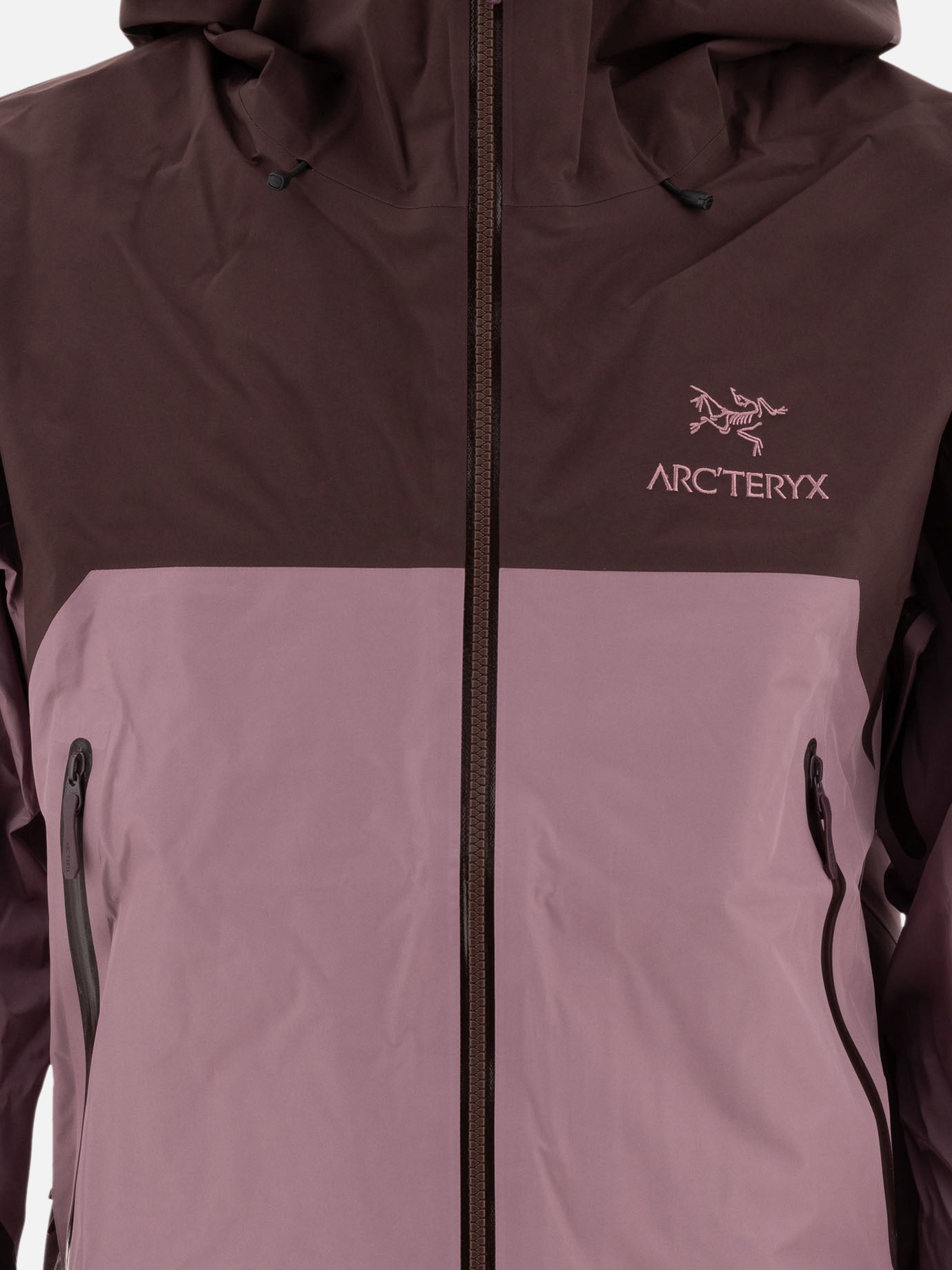 Arc'teryx "Beta AR" jacket Purple