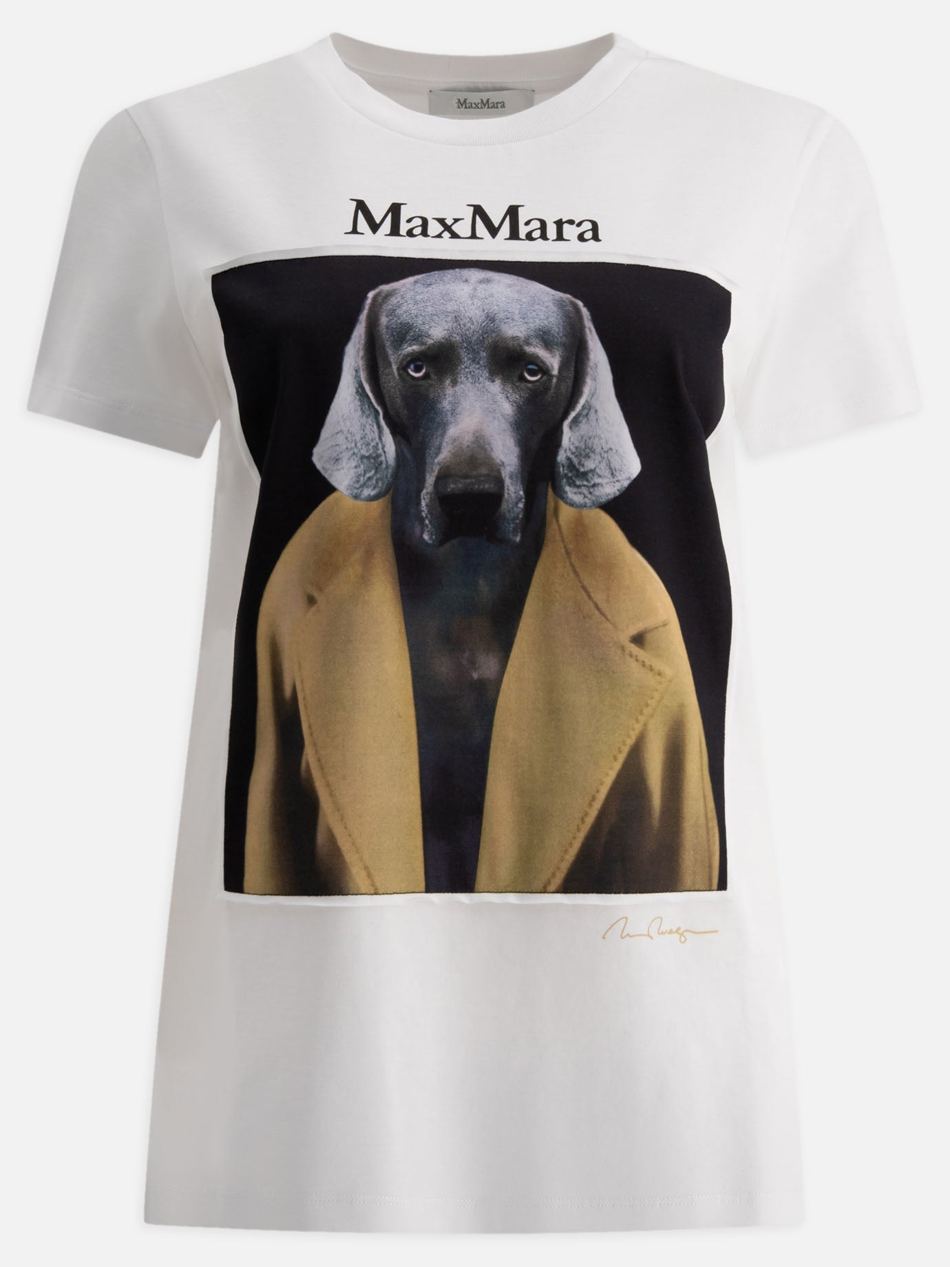 Max Mara Printed jersey t-shirt White