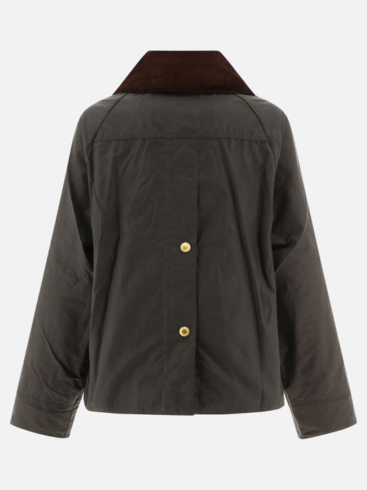 Raincoats & Trench coats Logo  Beige - Barbour Women | PDP | VIETTI Online Store | 2
