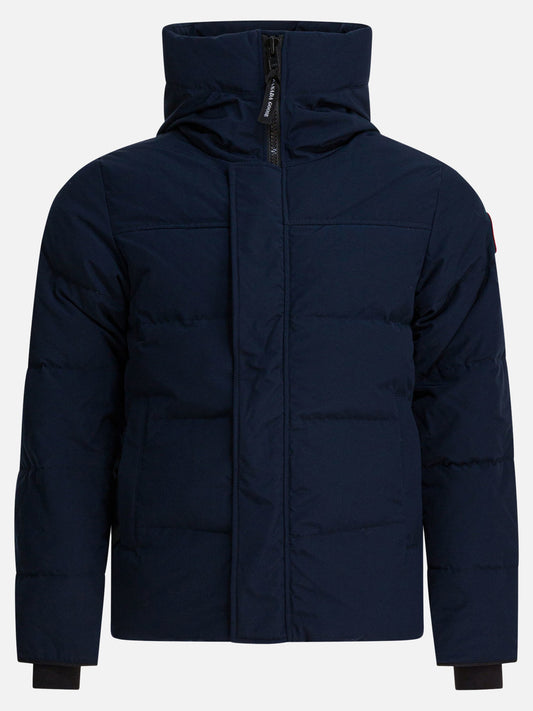 Parka Solid colour  Blu - Canada Goose Uomo | PLP | VIETTI Online Store 
