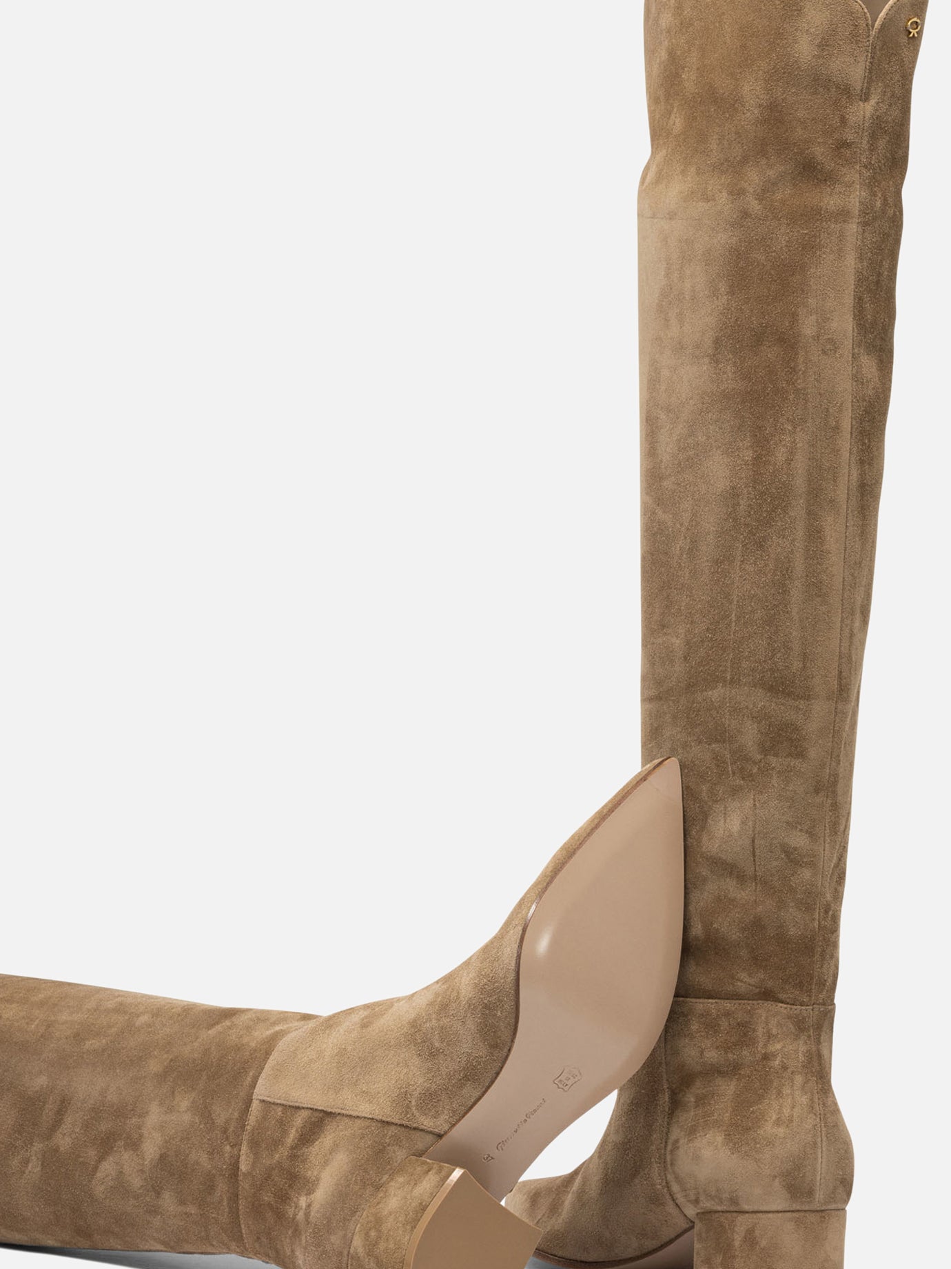 Over the knee 100% suede - 100% leather  Beige - Gianvito Rossi Women | PDP | VIETTI Online Store | Zoom-Modal_5
