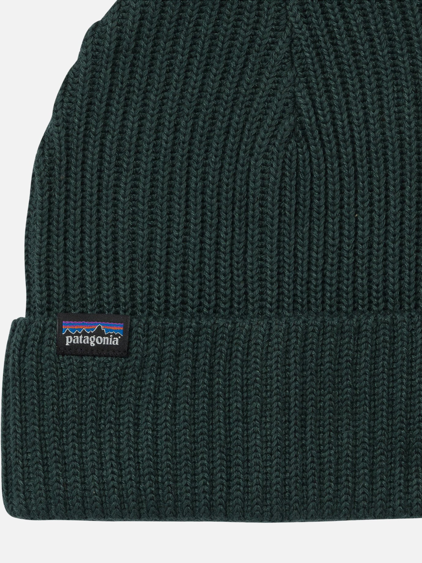 Beanies Logo  Green - Patagonia Men | PDP | VIETTI Online Store | Zoom-Modal_3
