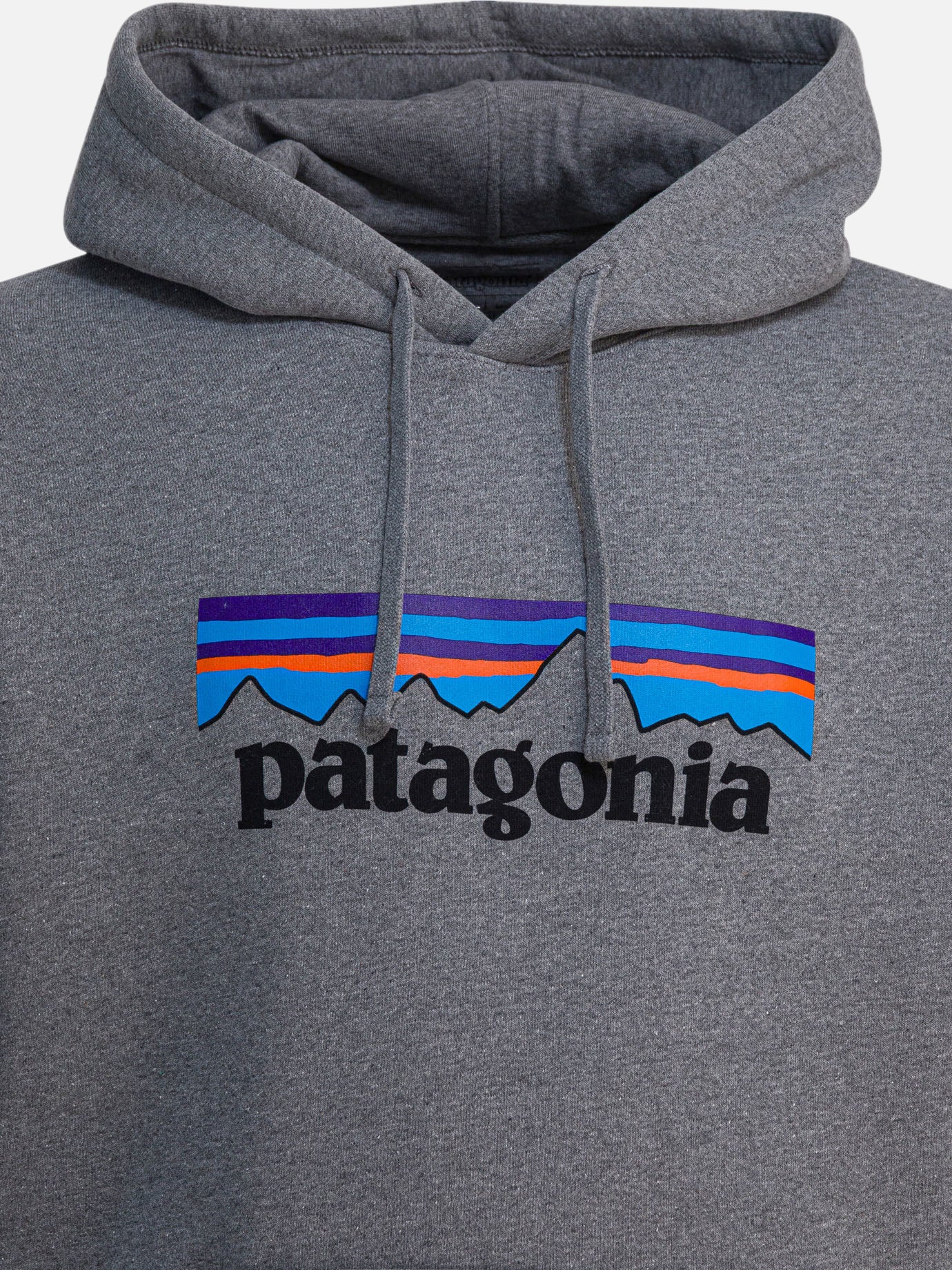 Felpe con cappuccio Logo  Grigio - Patagonia Uomo | PDP | VIETTI Online Store | Zoom-Modal_3
